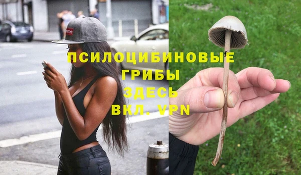 MESCALINE Арсеньев