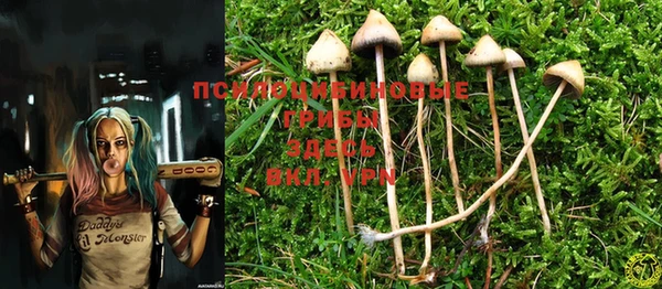 MESCALINE Арсеньев