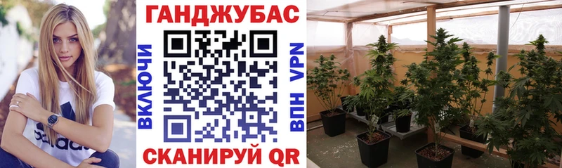 хочу   Шиханы  МАРИХУАНА гибрид 